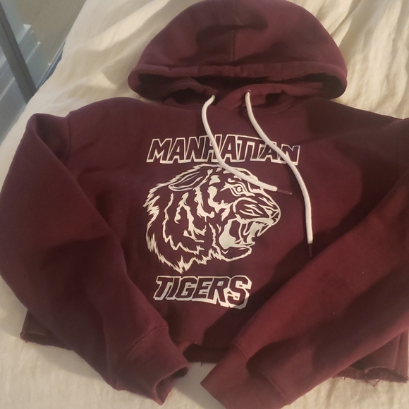 🐯 Burgundy Manhattan tigers XS cropped hoodie - Picture 3 of 3